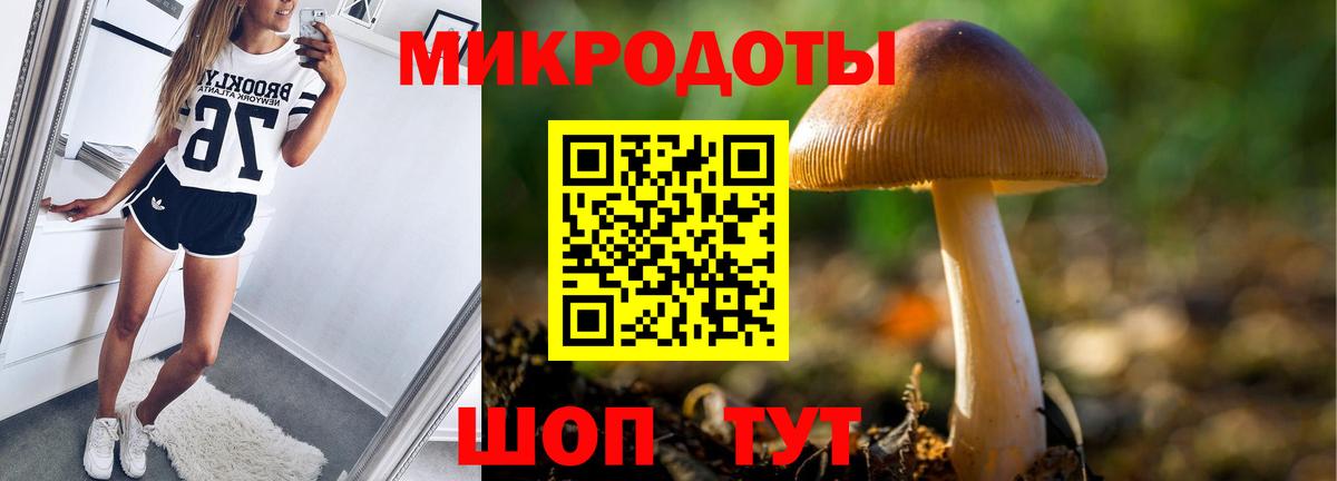 Псилоцибиновые грибы Cubensis Соликамск