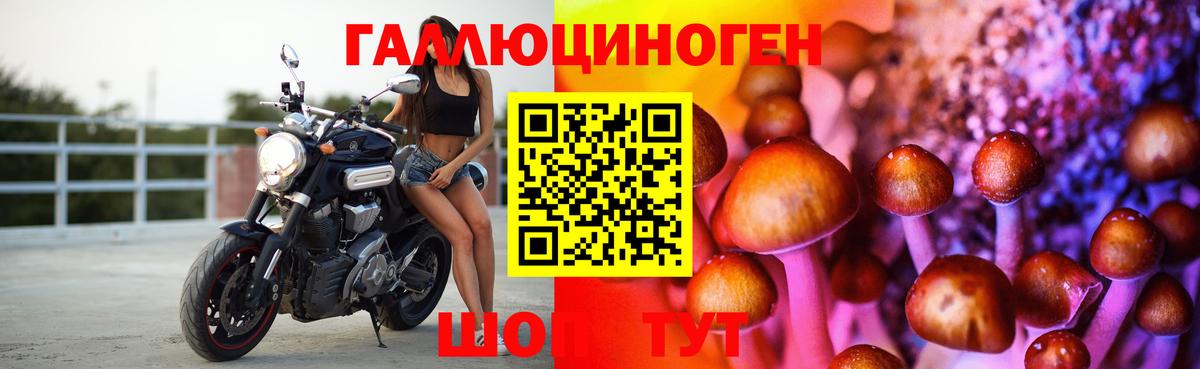 Псилоцибиновые грибы Psilocybe  купить наркоту  Псилоцибиновые грибы мухоморы  Соликамск  Вход с VPN 