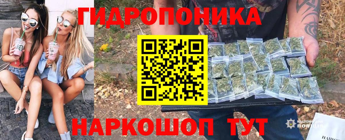 Соликамск  Каннабис планчик  Вход с VPN  Шишки марихуана сатива  Конопля тримм 